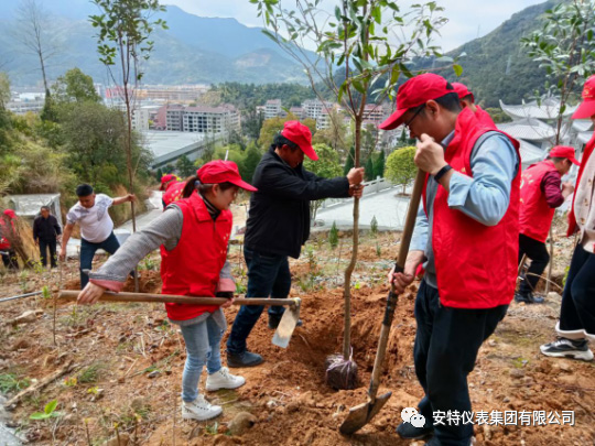 122cc太阳集成游戏