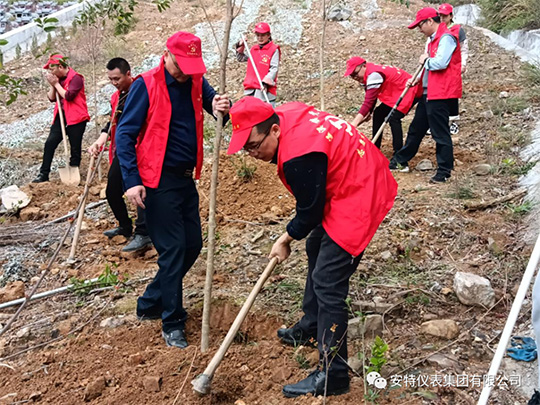 122cc太阳集成游戏