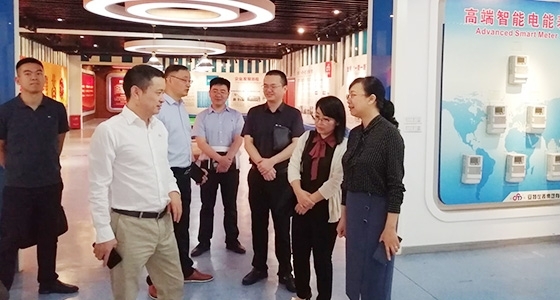 青田县组织部长金志红调研122cc太阳集成游戏园区党总支