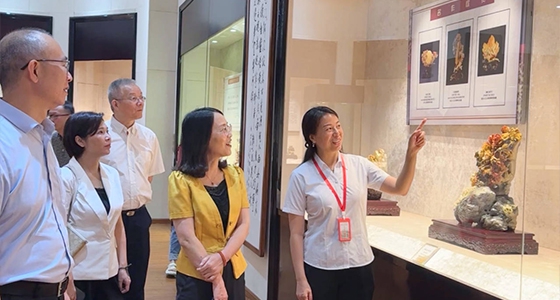 探索东方风范，，，，，，，122cc太阳集成游戏·倪东方艺术博物馆与时代脉搏共振