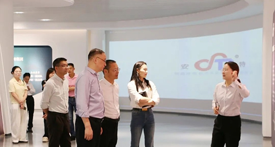 丽水市委社工部调研122cc太阳集成游戏集团两新党建事情